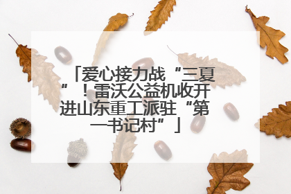 爱心接力战“三夏”！雷沃公益机收开进山东重工派驻“第一书记村”
