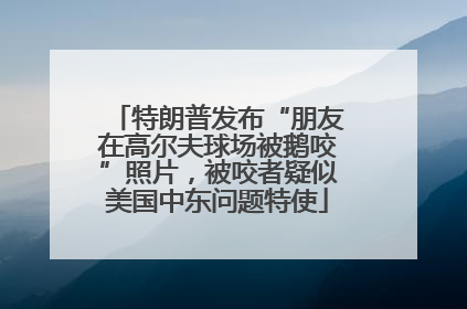 特朗普发布“朋友在高尔夫球场被鹅咬”照片，被咬者疑似美国中东问题特使