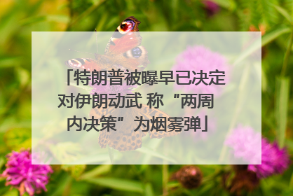 特朗普被曝早已决定对伊朗动武 称“两周内决策”为烟雾弹