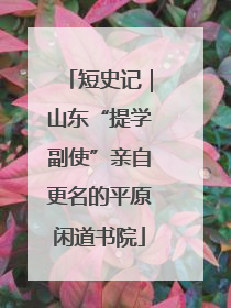 短史记｜山东“提学副使”亲自更名的平原闲道书院