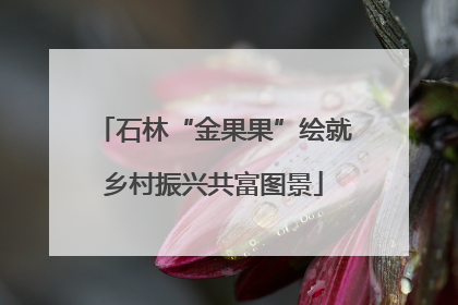石林“金果果”绘就乡村振兴共富图景