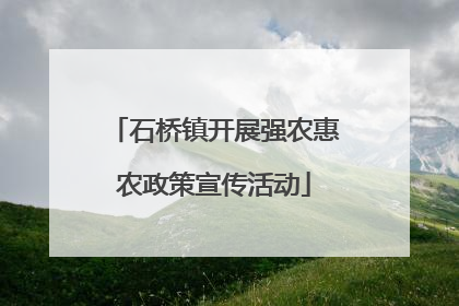 石桥镇开展强农惠农政策宣传活动