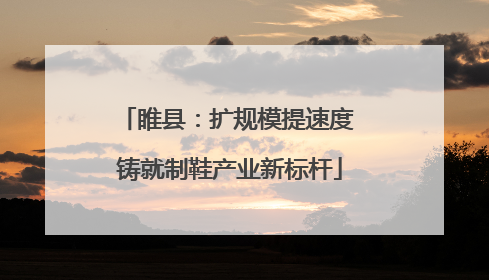 睢县：扩规模提速度 铸就制鞋产业新标杆