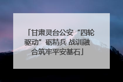 甘肃灵台公安“四轮驱动”砺精兵 战训融合筑牢平安基石