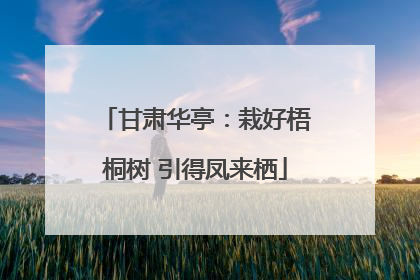 甘肃华亭：栽好梧桐树 引得凤来栖