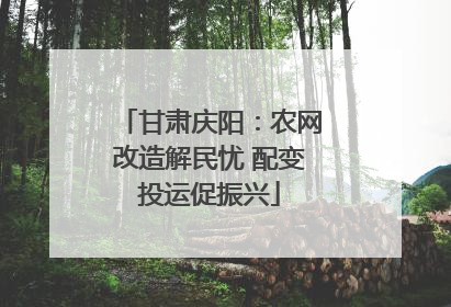 甘肃庆阳：农网改造解民忧 配变投运促振兴