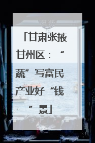 甘肃张掖甘州区：“蔬”写富民产业好“钱”景