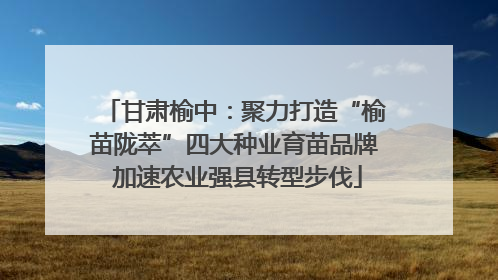 甘肃榆中：聚力打造“榆苗陇萃”四大种业育苗品牌 加速农业强县转型步伐