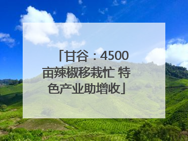 甘谷：4500亩辣椒移栽忙 特色产业助增收