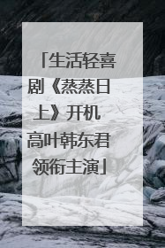 生活轻喜剧《蒸蒸日上》开机 高叶韩东君领衔主演