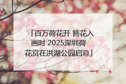 百万荷花开 簪花入画时 2025深圳荷花赏在洪湖公园启幕