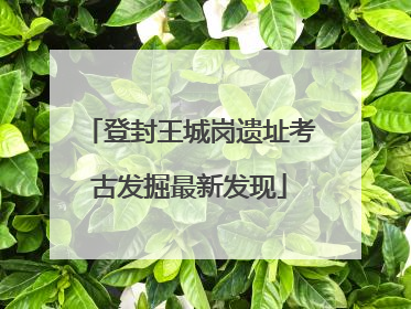 登封王城岗遗址考古发掘最新发现