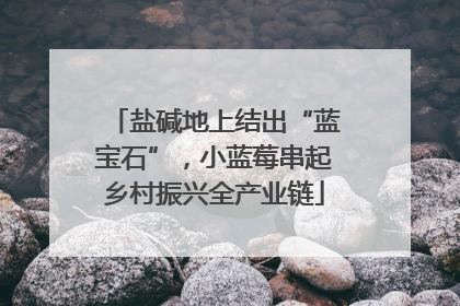 盐碱地上结出“蓝宝石”，小蓝莓串起乡村振兴全产业链