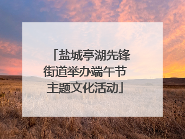 盐城亭湖先锋街道举办端午节主题文化活动