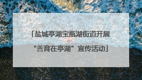 盐城亭湖宝瓶湖街道开展“善育在亭湖”宣传活动