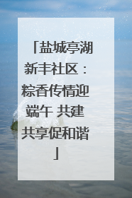 盐城亭湖新丰社区：粽香传情迎端午 共建共享促和谐
