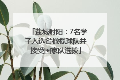 盐城射阳：7名学子入选省橄榄球队并接受国家队选拔