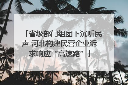 省级部门组团下沉听民声 河北构建民营企业诉求响应“高速路”