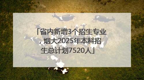 省内新增3个招生专业，烟大2025年本科招生总计划7520人