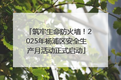 筑牢生命防火墙！2025年杨浦区安全生产月活动正式启动