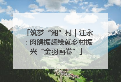 筑梦“湘”村｜江永：肉鸽振翅绘就乡村振兴“金羽画卷”