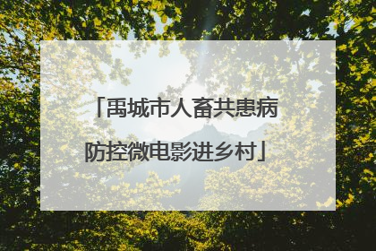 禹城市人畜共患病防控微电影进乡村