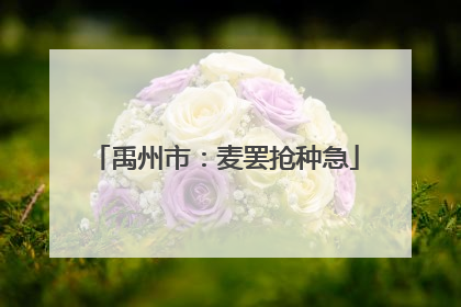 禹州市：麦罢抢种急