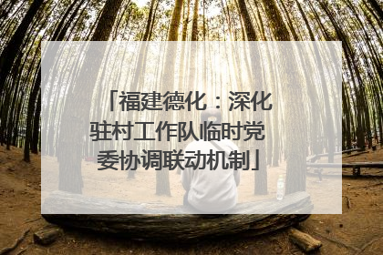 福建德化：深化驻村工作队临时党委协调联动机制