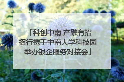 科创中南 产融有招 招行携手中南大学科技园举办银企服务对接会