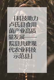 科技助力卢氏县食用菌产业高质量发展——院县共建现代农业科技示范县
