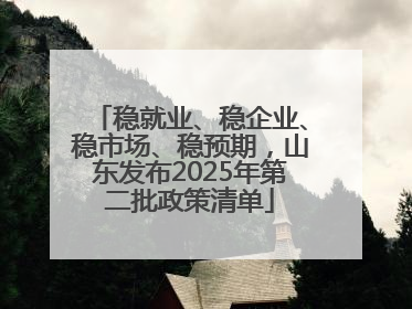 稳就业、稳企业、稳市场、稳预期，山东发布2025年第二批政策清单
