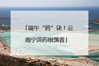 端午“药”诀！云南宁洱药根飘香