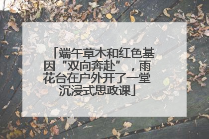 端午草木和红色基因“双向奔赴”，雨花台在户外开了一堂沉浸式思政课
