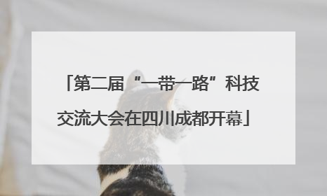 第二届“一带一路”科技交流大会在四川成都开幕