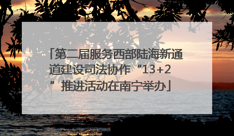 第二届服务西部陆海新通道建设司法协作“13+2”推进活动在南宁举办