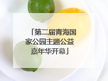 第二届青海国家公园主题公益嘉年华开幕