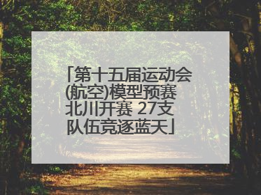 第十五届运动会(航空)模型预赛北川开赛 27支队伍竞逐蓝天