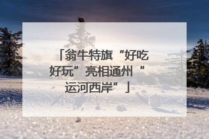 翁牛特旗“好吃好玩”亮相通州“运河西岸”