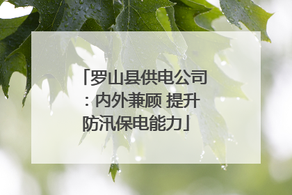 罗山县供电公司：内外兼顾 提升防汛保电能力