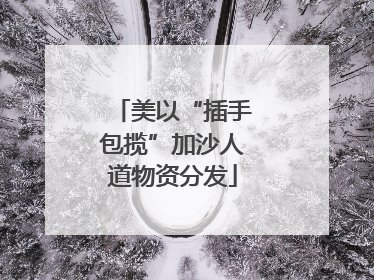 美以“插手包揽”加沙人道物资分发