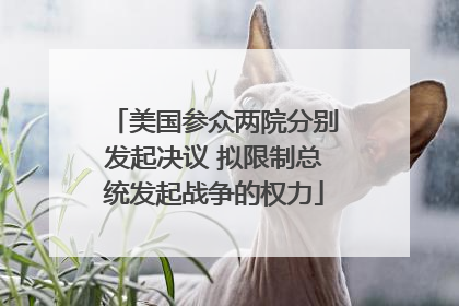 美国参众两院分别发起决议 拟限制总统发起战争的权力