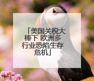 美国关税大棒下 欧洲多行业恐陷生存危机