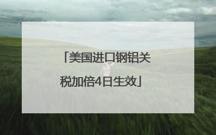 美国进口钢铝关税加倍4日生效