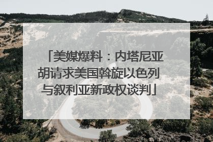美媒爆料：内塔尼亚胡请求美国斡旋以色列与叙利亚新政权谈判