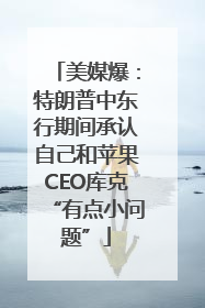 美媒爆：特朗普中东行期间承认自己和苹果CEO库克“有点小问题”