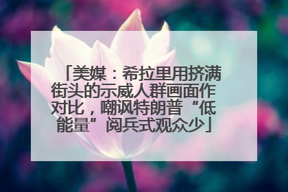 美媒：希拉里用挤满街头的示威人群画面作对比，嘲讽特朗普“低能量”阅兵式观众少