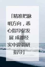 精准把脉明方向，悉心指导促发展 成都经实中迎调研指导