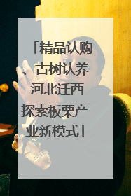 精品认购、古树认养 河北迁西探索板栗产业新模式