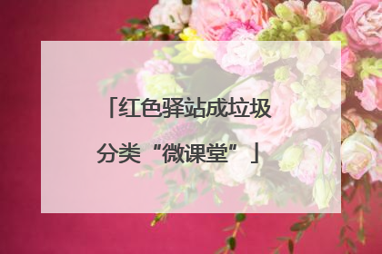 红色驿站成垃圾分类“微课堂”