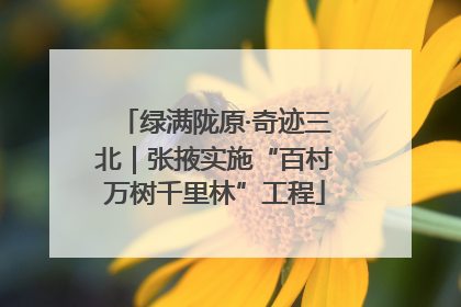 绿满陇原·奇迹三北｜张掖实施“百村万树千里林”工程